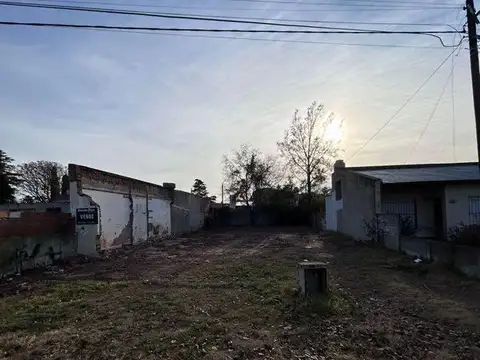 Lote . | EDISON al 200