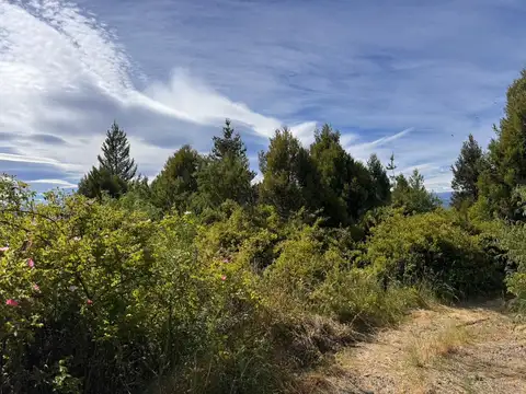 Callejón Peña - Parcela 157