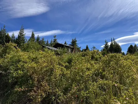 Callejón Peña - Parcela 157