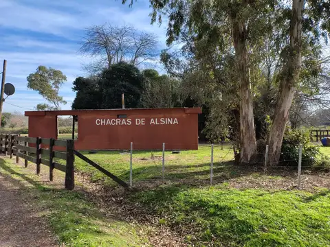 Chacra Alsina