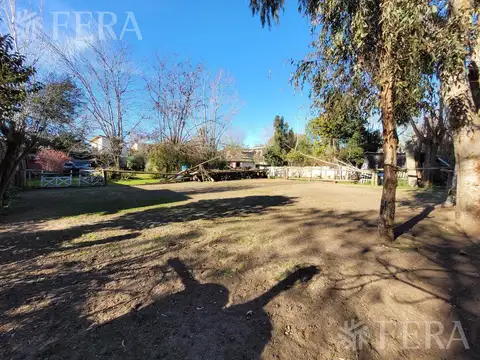 ALFONSINA STORNI al 2000