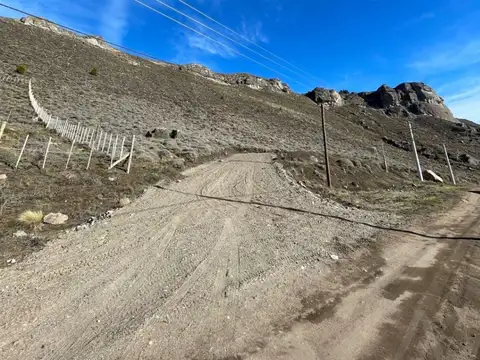 Altos de la Vega 100