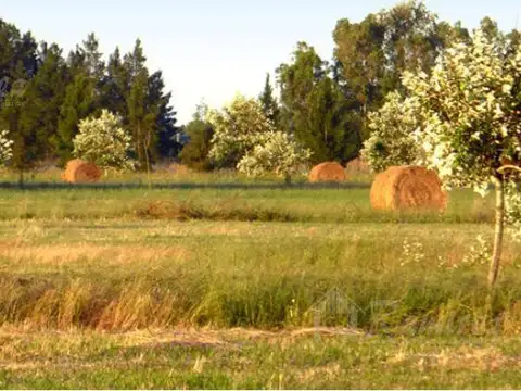 Terreno en Venta en Countries y Barrios Cerrados en Coronel Brandsen, USD 28.000