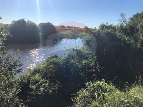 Venta Campo Río Negro - Ganadero Agrícola 350 has