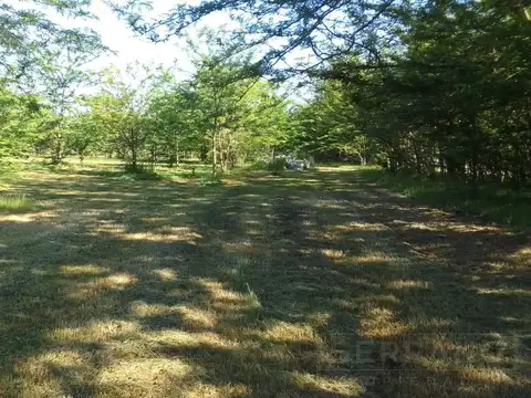 Terreno en Venta en Etchegoyen, USD 59.000