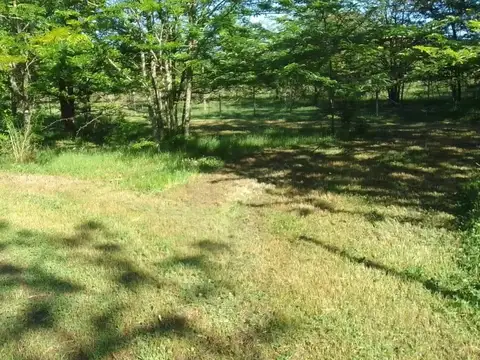 SDA Venta Terreno,  5.200 m2,  Etchegoyen, Ruta 6 km 169,   Exaltación de la Cruz Lote de  terreno, Ruta 6 km 169, Etchegoyen, Exaltacion de la Cruz
