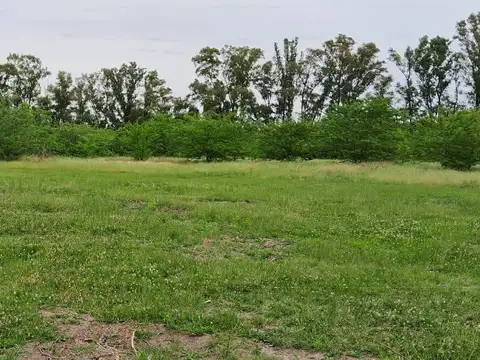 Venta lote de 5200m2 en Etchegoyen, Ruta 6 km 169, Exaltación de la Cruz