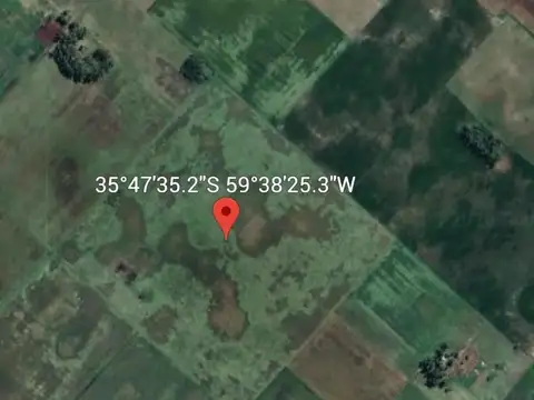 Campo en Venta -  - 540mts - Saladillo