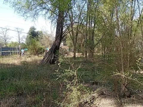 SE VENDE GRAN LOTE - VILLA MONTENEGRO - ANISACATE