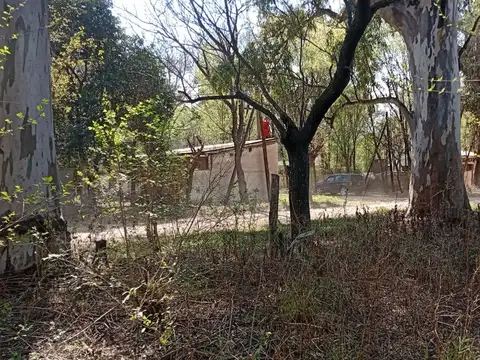 José Ingenieros 100