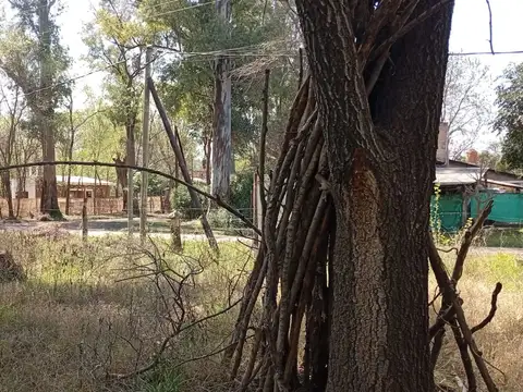 Terreno en Venta de 1250,0 m2