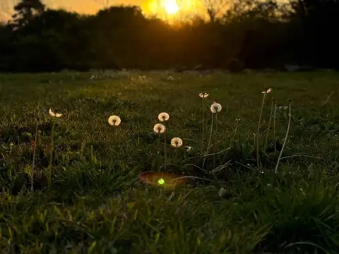 Casa Quinta  en Alq. Temporario en Villa Rosa, Pilar, G.B.A. Zona Norte