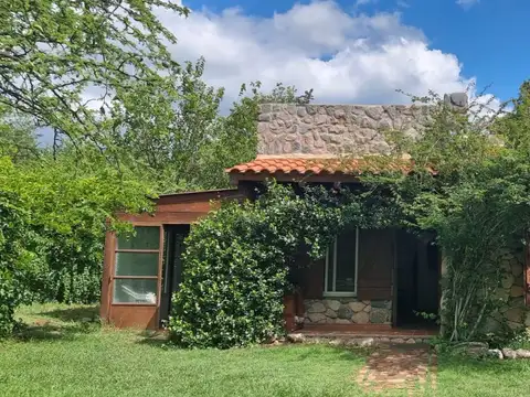 Merlo San Luis 100