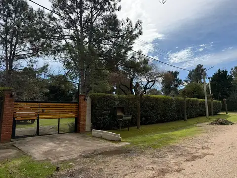 Nigromantes 800