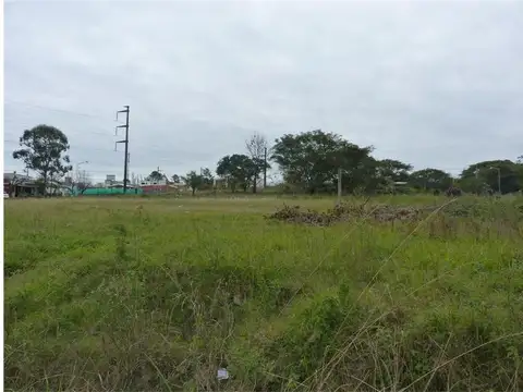 Terreno bien ubicado a metros de avenida asfaltada