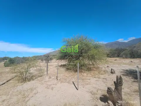 HECTAREAS EN COLALAO DEL VALLE