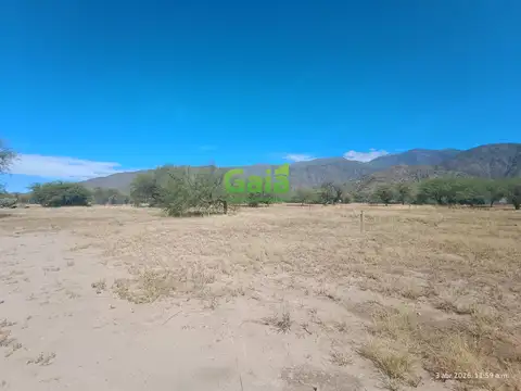 HECTAREAS EN COLALAO DEL VALLE