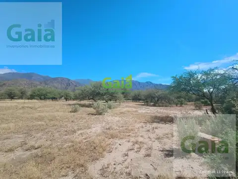 Finca HECTAREAS EN COLALAO DEL VALLE