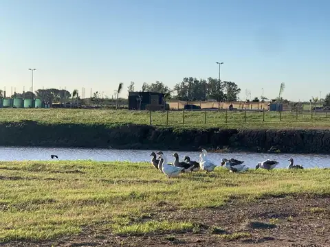 LOTE EN NUEVOS AIRES COUNTRY CLUB