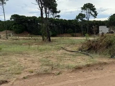 De La Pescadilla entre cul de sac de Mero y Calamares  S/N  Pinamar