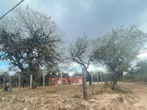 PÚblica