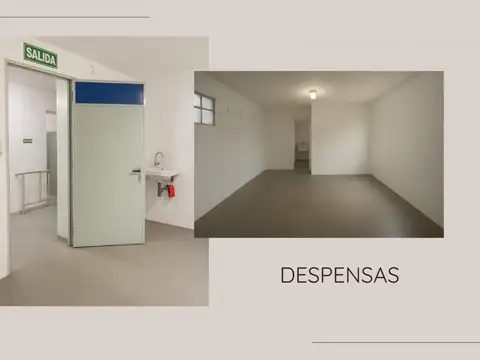 Isabel la Católica 400