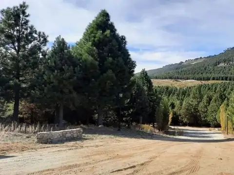 Terreno en Venta de 1509,0 m2