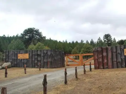 Lote 83 Altos de Pehuenia 100