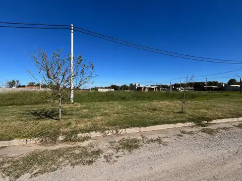 Terreno en Venta 25  mts Fondo