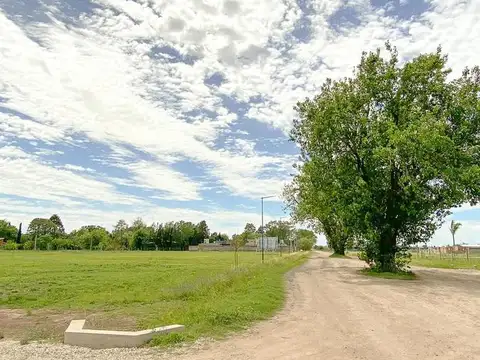 Terreno en Venta 52  mts Fondo