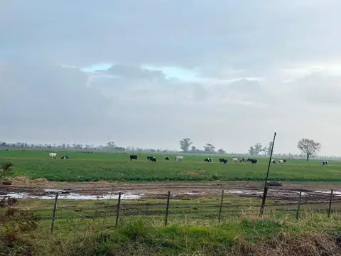 VENTA/CAMPO/VILLA SAN JOSE