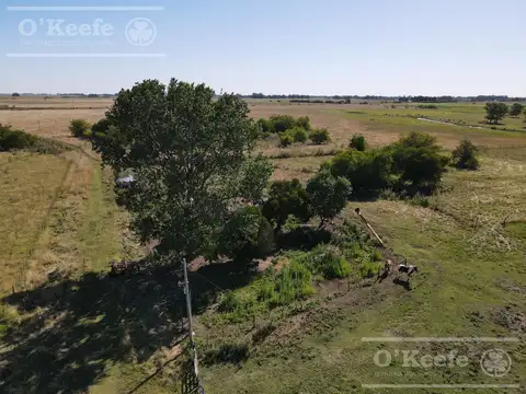 Campo Ganadero 137 has - Ideal Tambo -  Sobre Ruta -  Ranchos