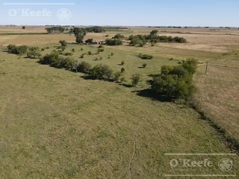 Campo Mixto 137 has - 70 % agricola -   Ranchos
