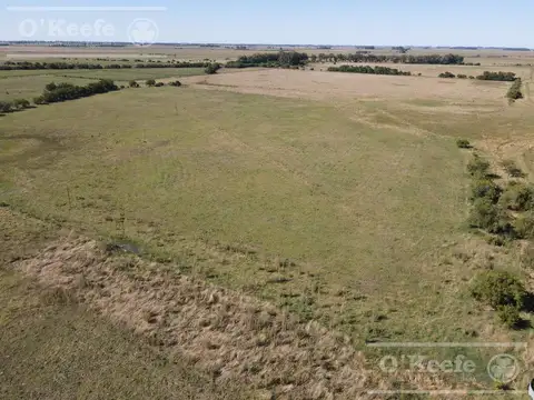 Campo Ganadero 137 has - Ideal Tambo -  Sobre Ruta -  Ranchos