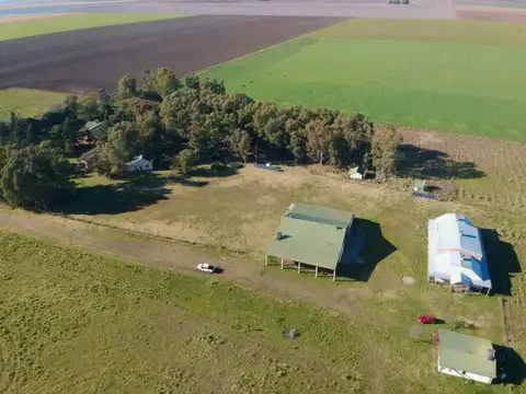 Campo con Bodega Orgánica Certificada en Espartillar de 41 Hectareas Provincia de Buenos aires