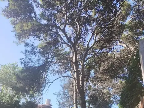 General Zapiola  200 200