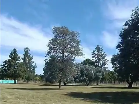 C. Cuba, Alto Los Cardales, Provincia de Buenos Aires