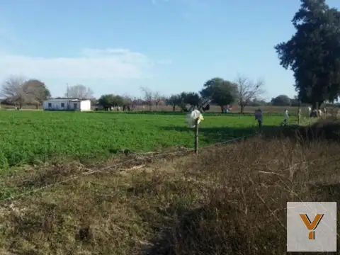 Los Pereyra