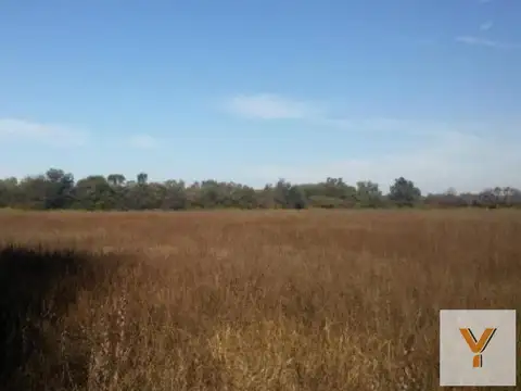 Campo en venta - 188 Hectáreas - Santiago del Estero