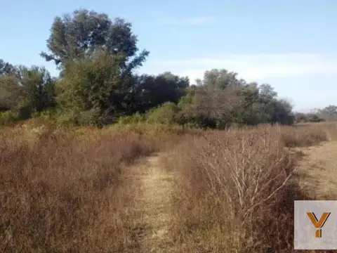 Campo en venta - 188 Hectáreas - Santiago del Estero