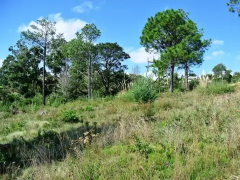 Terreno en Venta de 3001,0 m2