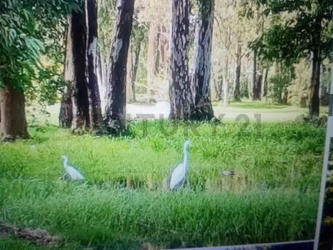 Terreno en Venta en Parque Exaltación, USD 25.000