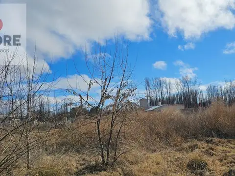Terreno en Venta de 299,0 m2
