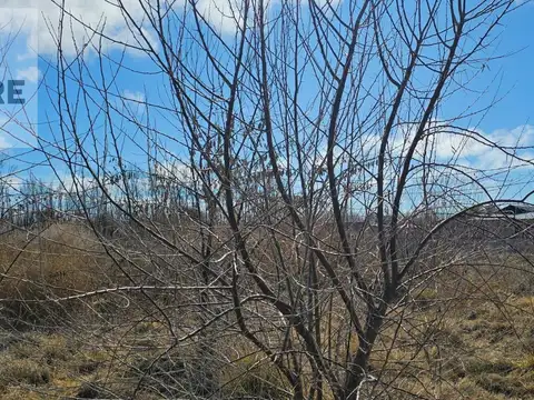 Terreno en Vista Alegre Norte