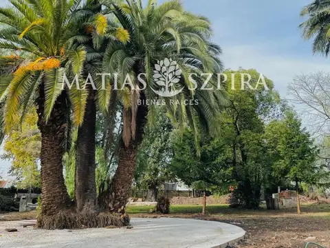 Alcalde Benito Rivas 900