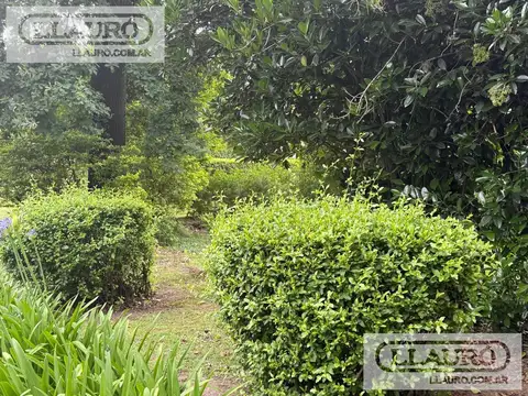 Marcelino Champagnat al 700