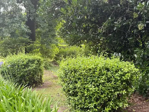 Marcelino Champagnat al 700