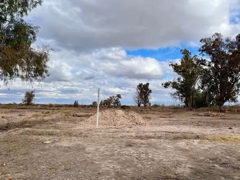 CAMPO DE 120 HECTÁREAS EN VENTA - LAVALLE
