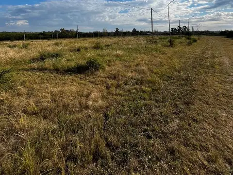 Terreno en Venta de 800,0 m2