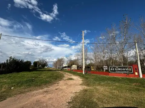 Loteo LA CONCORDIA